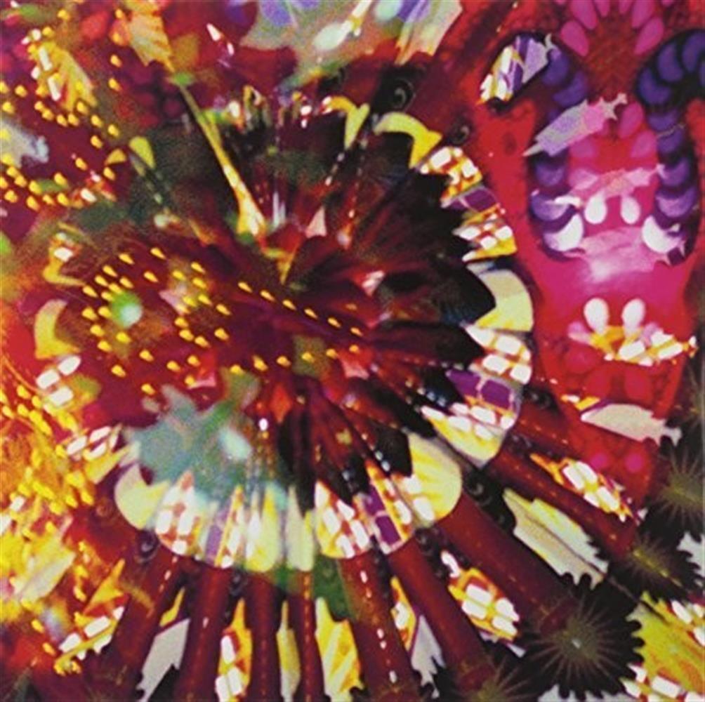 Cve Live 2011 - Caribou Vibration Ensemble (Vinile)