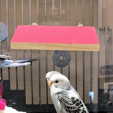 Parrot Exercise Toy Wooden Bird Perch Platform Cockatiel Perch for Bird Cage