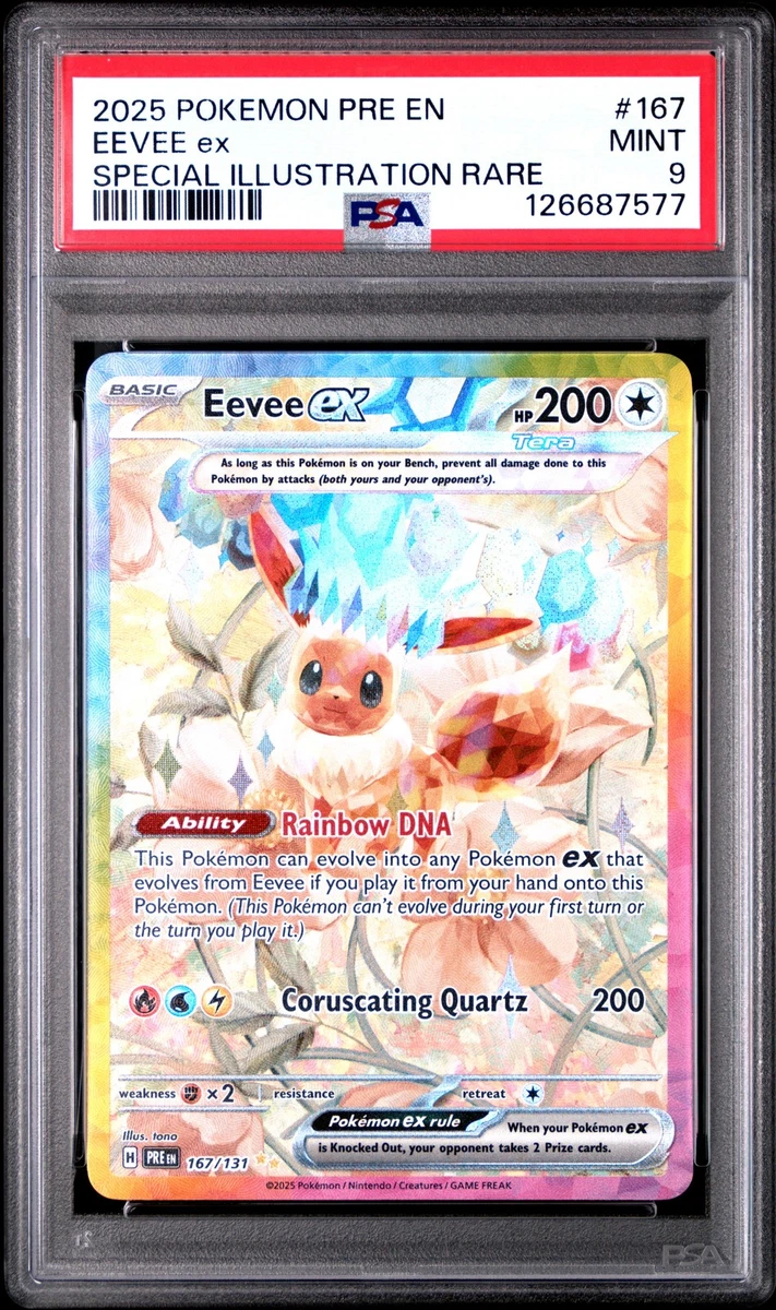 eevee pokemon card ebay Eevee Pokmon TCG Cards for sale