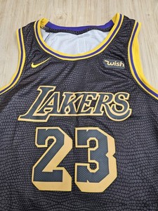 mamba lebron james jersey