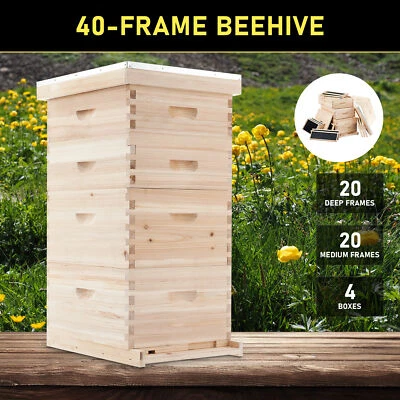 CREWORKS Langstroth Beehive Kit 40 Frame Box With 20 Deep & 20 Medium Bee Hive Beekeeping