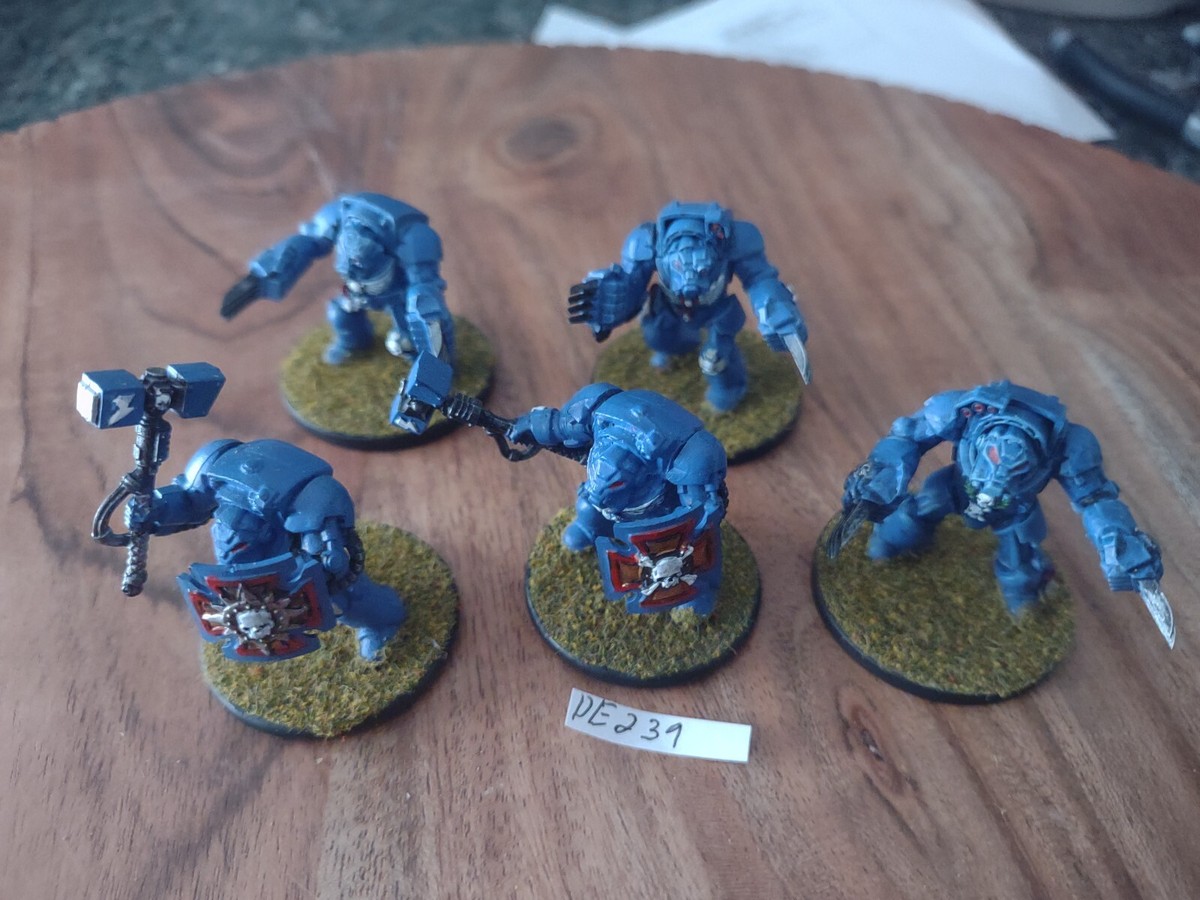 Warhammer 40,000 40k Space Marines Terminator Assault Squad