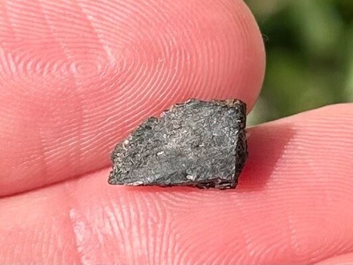 Woodbine Formation Fossil Turtle Shell Texas Cretaceous Age Reptile Bones - Picture 4 of 6