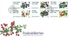 2017 Jersey Post and Go Fruits and Berries First Day Cover
