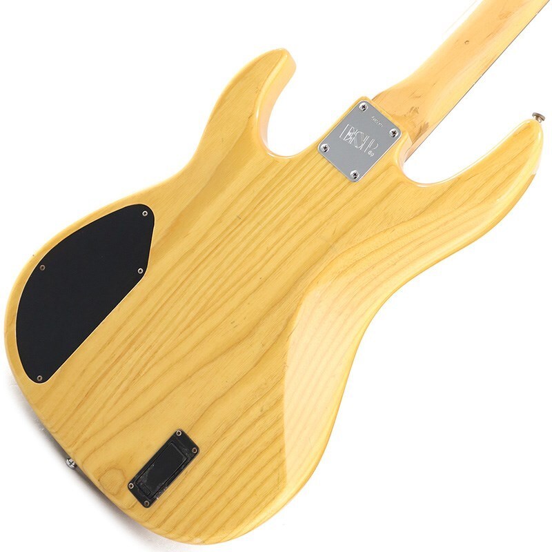 ESP AP-200 | eBay