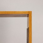 Foto 5 di 12