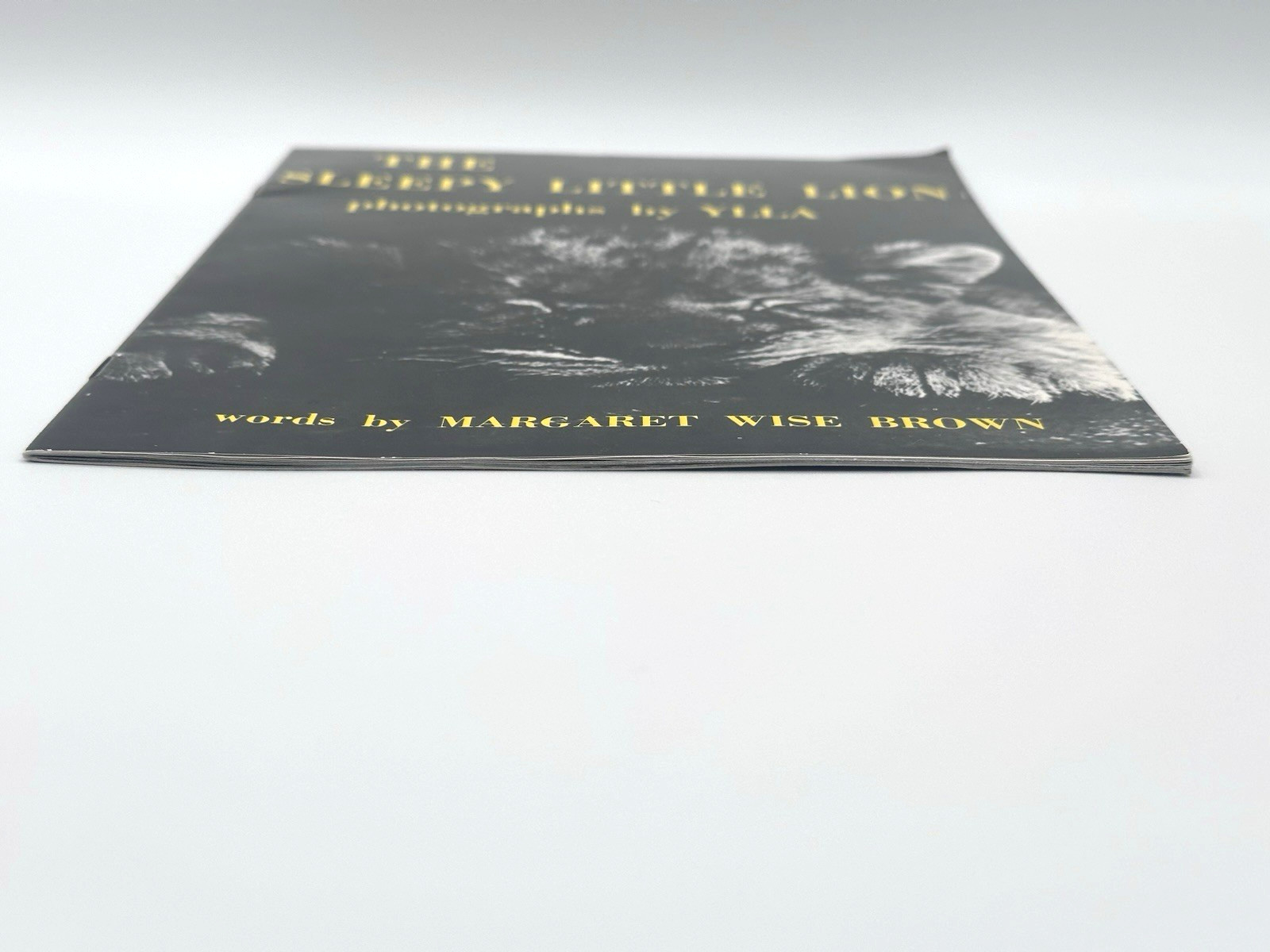 The Sleepy Little Lion by Margaret Brown (Paperback, 1947, 1975)