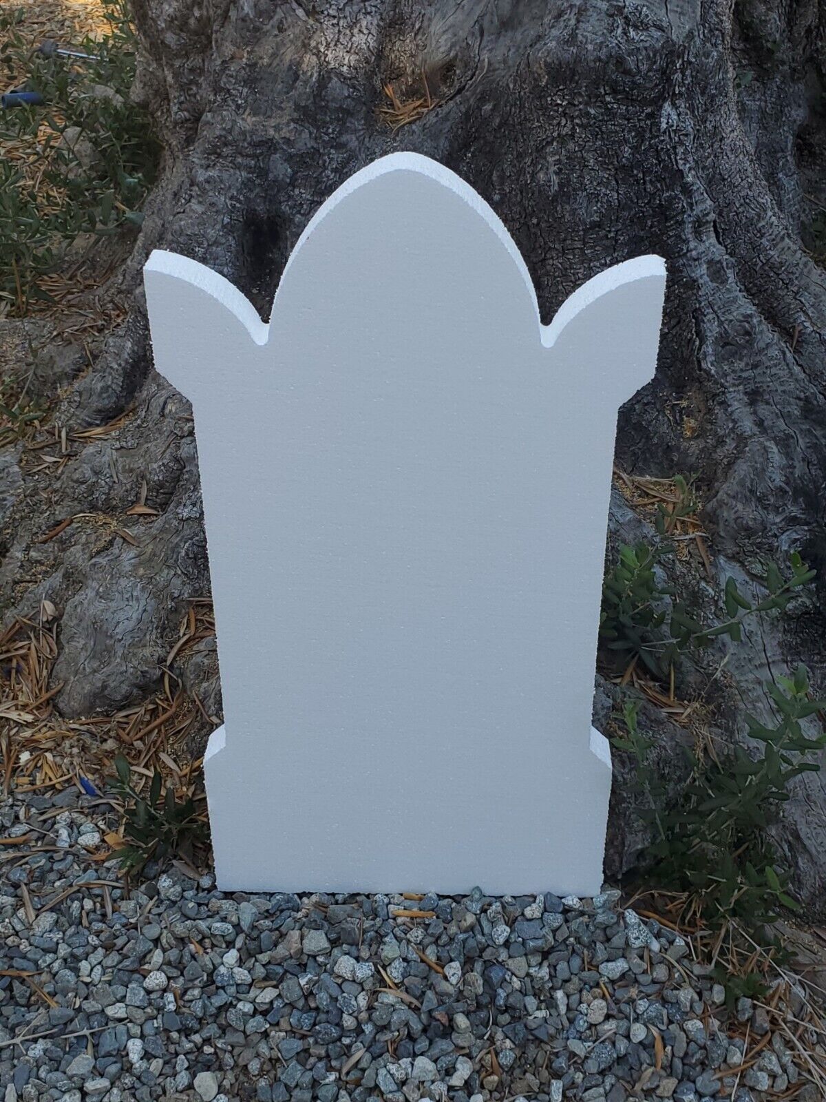 Picture 4 of 15