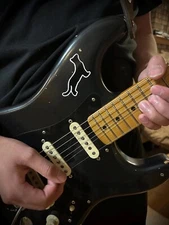 Black Cat Red Cat Guitar Decal Sticker Black Strat Decal Sticker