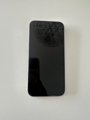 Apple iPhone 13 Pro - 256GB - Graphit (Ohne Simlock) A2638 (GSM)