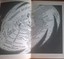 Picture 6 of 8