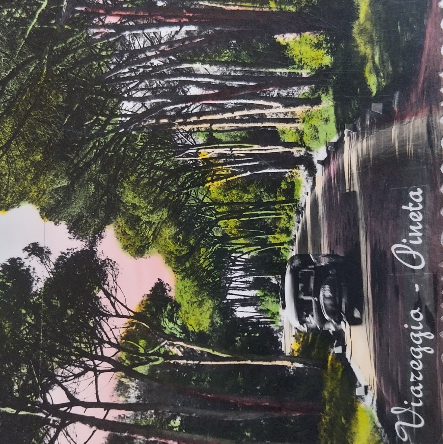 cartolina illustrata Viareggio Pineta Viale dei Tigli viaggiata francobolli 1958