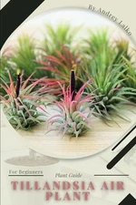 Andrey Lalko Tillandsia Air Plant (Paperback) (UK IMPORT)
