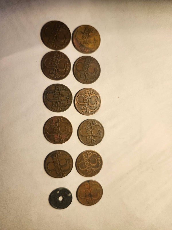 set of 12 Polish 5 groszy coins 