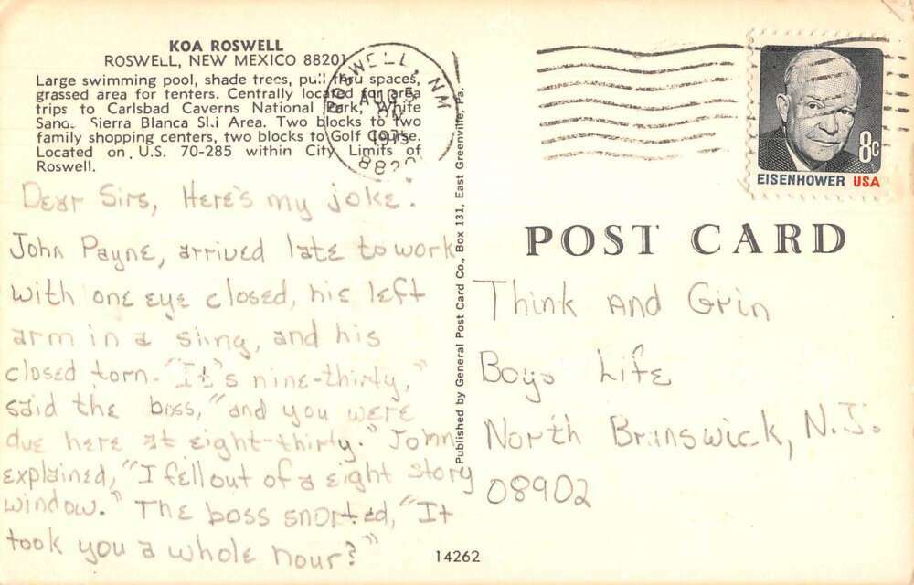 Rowell New Mexico KOA Roswell Campground Vintage Postcard AA21590 | eBay