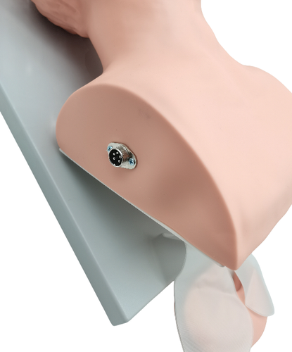 Intubación Manikin Estudio Modelo de Enseñanza Entrenador de Gestión de Vías Aéreas Dientes de PVC NUEVO - Imagen 5 de 9