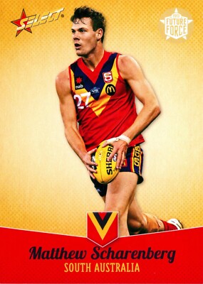 2013 Collingwood Magpies AFL Select Future Force Rookie Card - Matt Scharenberg