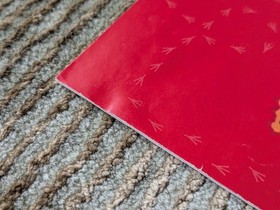 Alfred Chicken Nintendo Entertainment System NES Manual ONLY - NO GAME