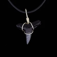 1" Authentic Fossil Lemon Shark Tooth Necklace – Wire-Wrapped, Woven Black Cord