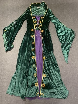 Disney Hocus Pocus Winifred Sanderson Costume Dress Medium Green Halloween | eBay Disney Hocus Pocus Winifred Sanderson Costume Dress Medium Green Halloween | eBay