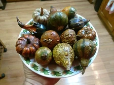 12 Assorted Pumpkins and Gourds Fall Decorations Home Decor Salem Collection