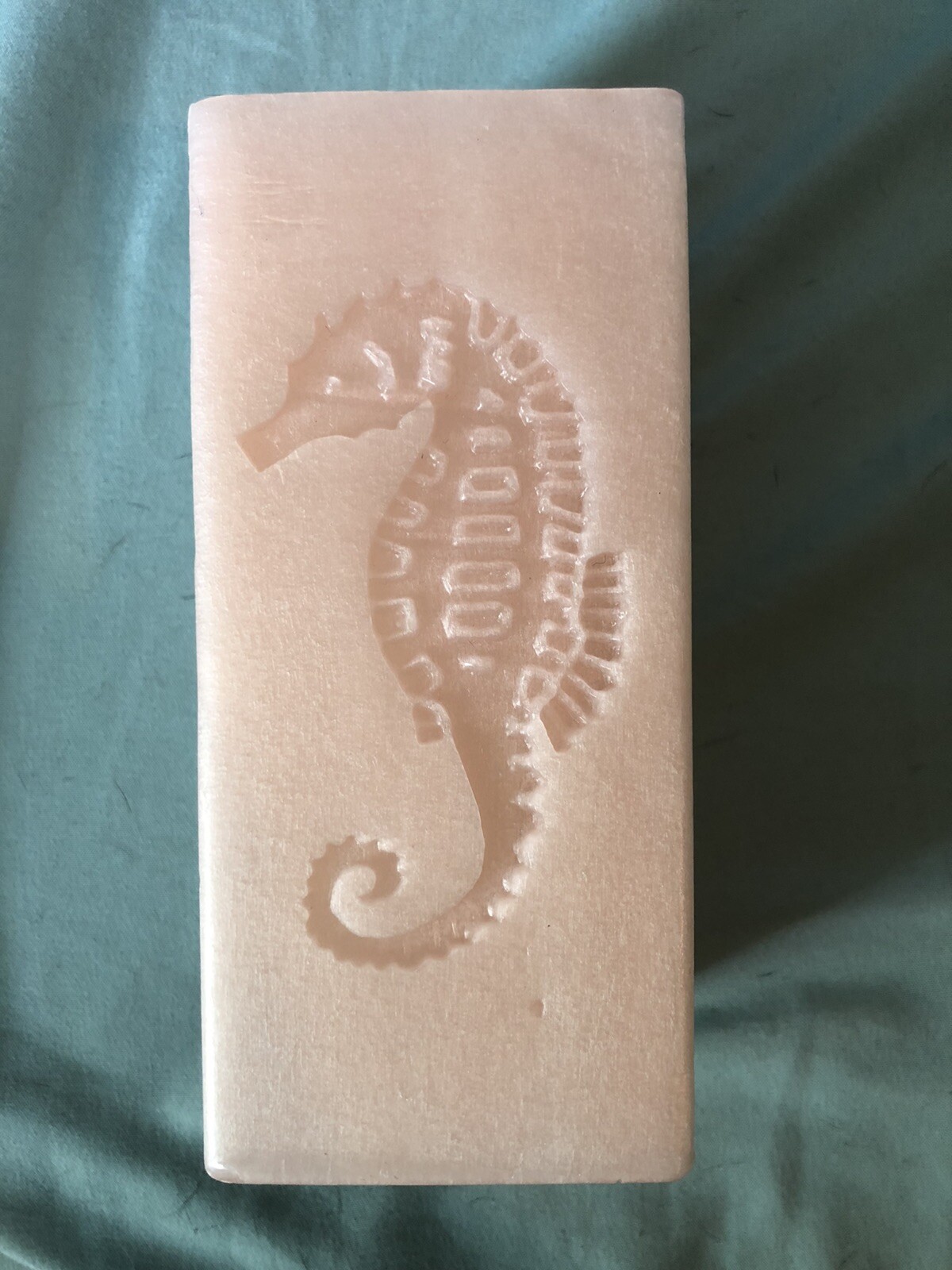 Bullfrog pillar candle New Seahorse Tan eBay