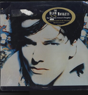 SEALED The Blow Monkeys - She Was Only A Grocer's Daughter Vinyl Record LP