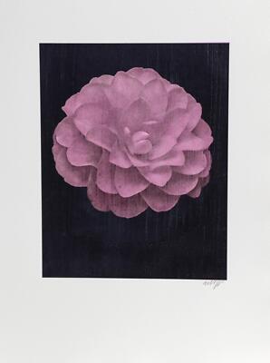 Jonathan Singer, White Dahlia (Purple) II on Black, Digital Photograph, signed i