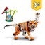 Foto 5 di 5