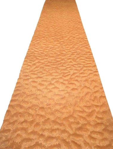 Muschelahorn Impiallacciatura Saraifo Trapuntato Maple Holzfurnier 250x32cm - Bild 2 von 12
