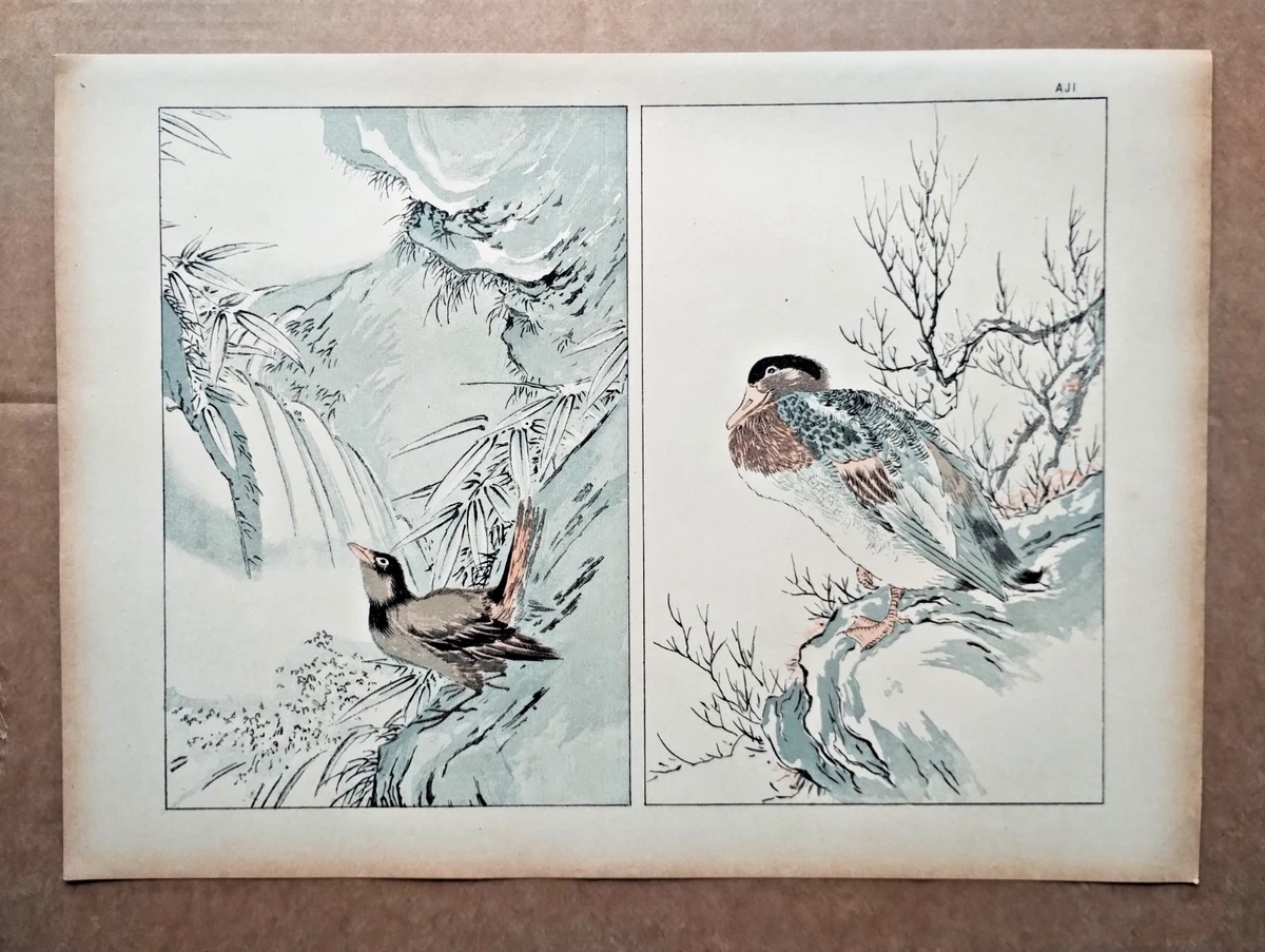 日本雀鸟图案艺术印刷品| eBay