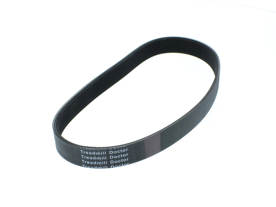 255858: Correa de transmisión del motor número de pieza 255858 Foto 2 de 4