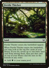 Fertile Thicket [Duel Decks: Nissa vs. Ob Nixilis] Near Mint