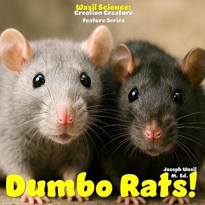 Wasil Science: Creation Creature Features Dumbo Rats! by Joseph Paul-Staples Was