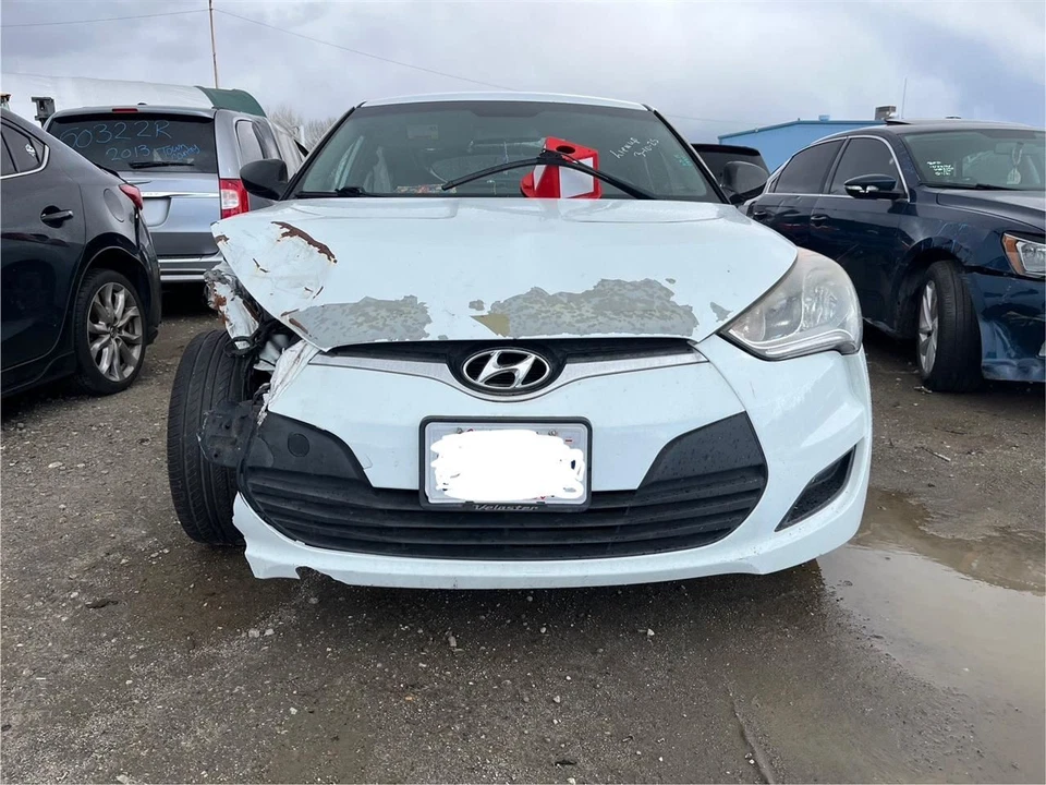 Bote de carbón de vapor de combustible Hyundai Veloster 2015 Foto 3 de 4