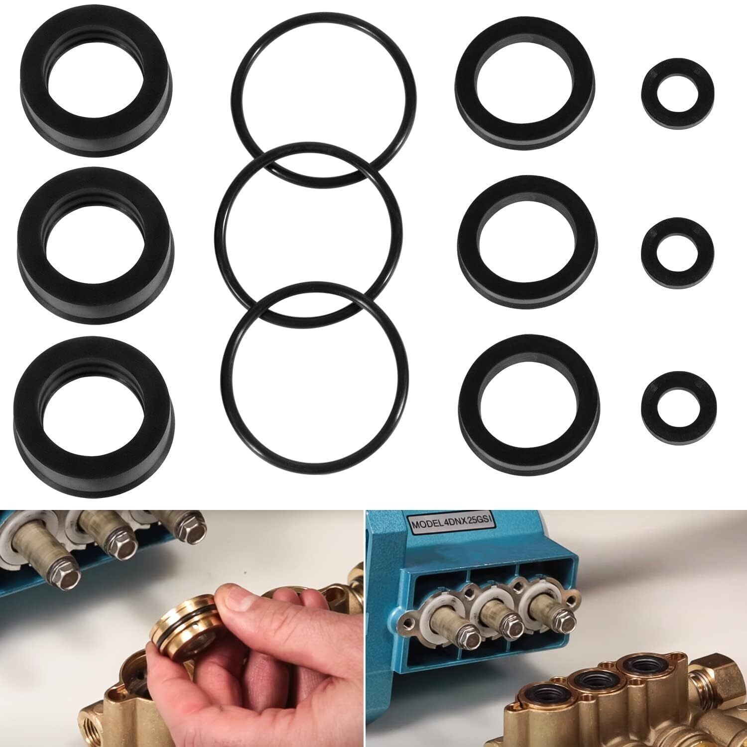 76975 Spring 76975 Cat Pump Seal Kit for for 4DNX Pumps Model Replace 4DNX25GSI ...