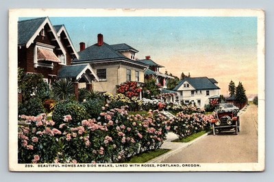 Portland,OR Beautiful Homes & Side Walks Roses Multnomah County Oregon Vintage