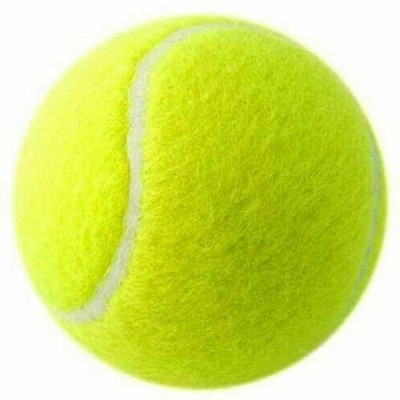 64MM High Bounce Tennisbälle für Hunde ideal für Training und Outdoor Spaß