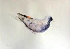 Bird,  Birds, Watercolor artwork, Handmade, Original painting on paper