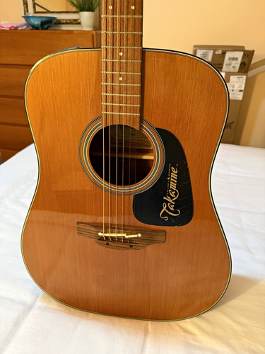 Takamine Pro Series P1D Dreadnought 6-String Acoustic-Electric w/Hard Case