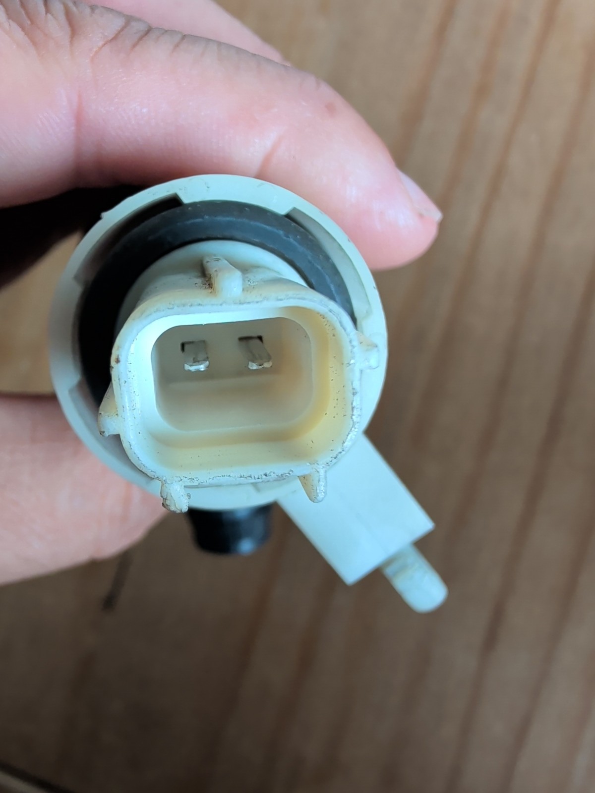 2004 Lamborghini Gallardo Canister Purge Solenoid