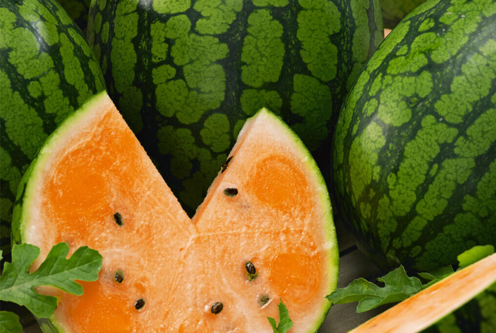 75 TENDERSWEET ORANGE WATERMELON FRESH FOR GARDENS | eBay