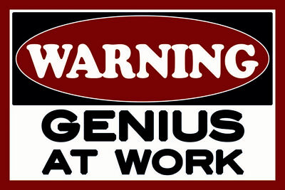 Holzschild 18x12 Warning Genius at work Wand Deko Bar Kneipe Sammler Geschenk
