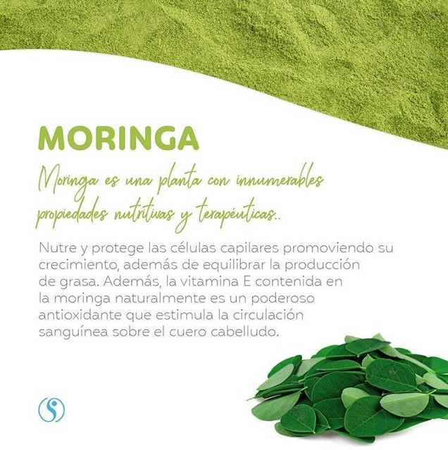 SHELO NABEL ACONDICIONADOR CONDITIONER MORINGA PROTECTOR 340ml New | eBay