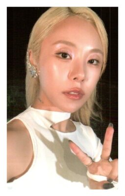 MAMAMOO WHEEIN IN THE MOOD Album POCA VER Official PHOTOCARD PHOTO
