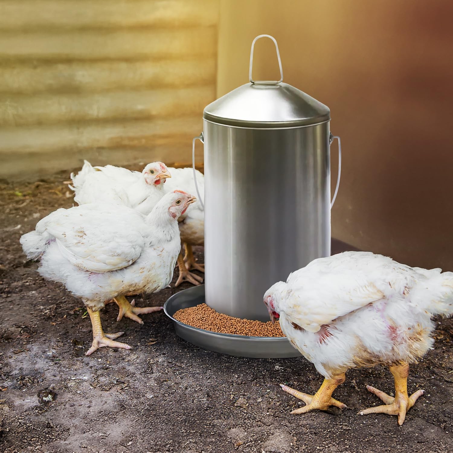 8.8 Lb Stainless Steel Hanging Chicken Feeder no Waste Food-Grade - Poultry F...