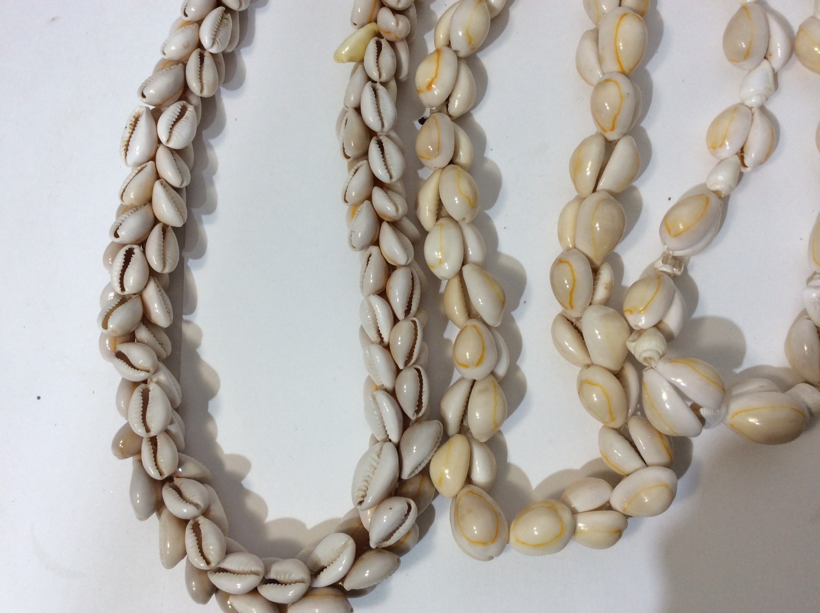 Five Large Seashell Necklaces - image 4