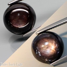 10.50Ct.Perfect Sharp 6 Rays Golden Black Star Sapphire Round Cabochon 11.7mm.
