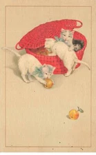 Cats #MK41489 Cats Basket Red Fruits