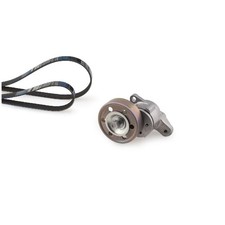 Gates Keilrippenriemensatz 788421384 T39154 | 486053